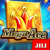 Mega Ace bingo plus